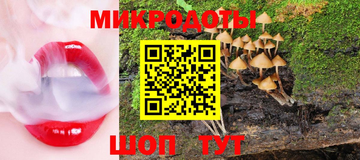 Галлюциногенные грибы мицелий Ставрополь